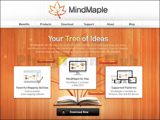 Phần mềm Mindmaple